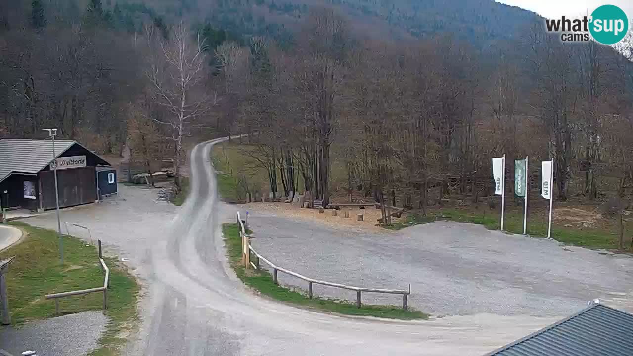 Spletna kamera Kočevje – MTB trail center v živo