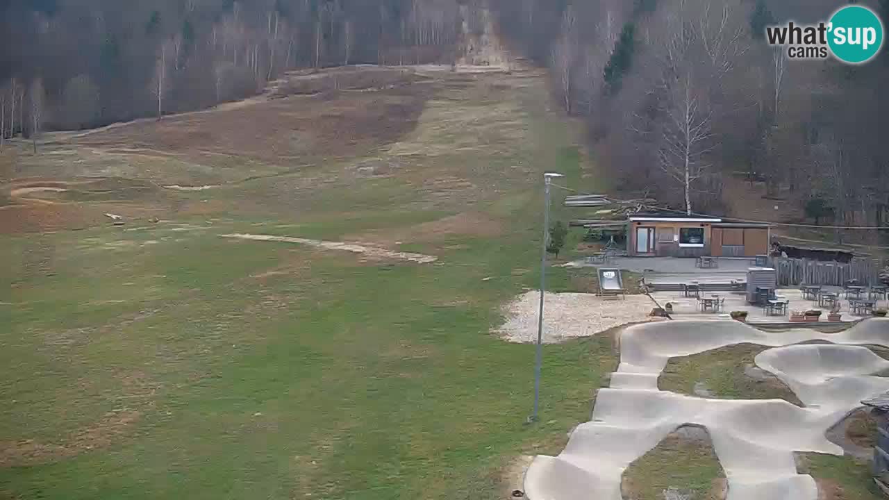Kočevje Live webcam – MTB trail center – Slowenien