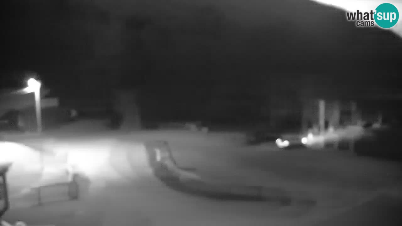 Camera en vivo Kočevje – MTB trail center – Eslovenia