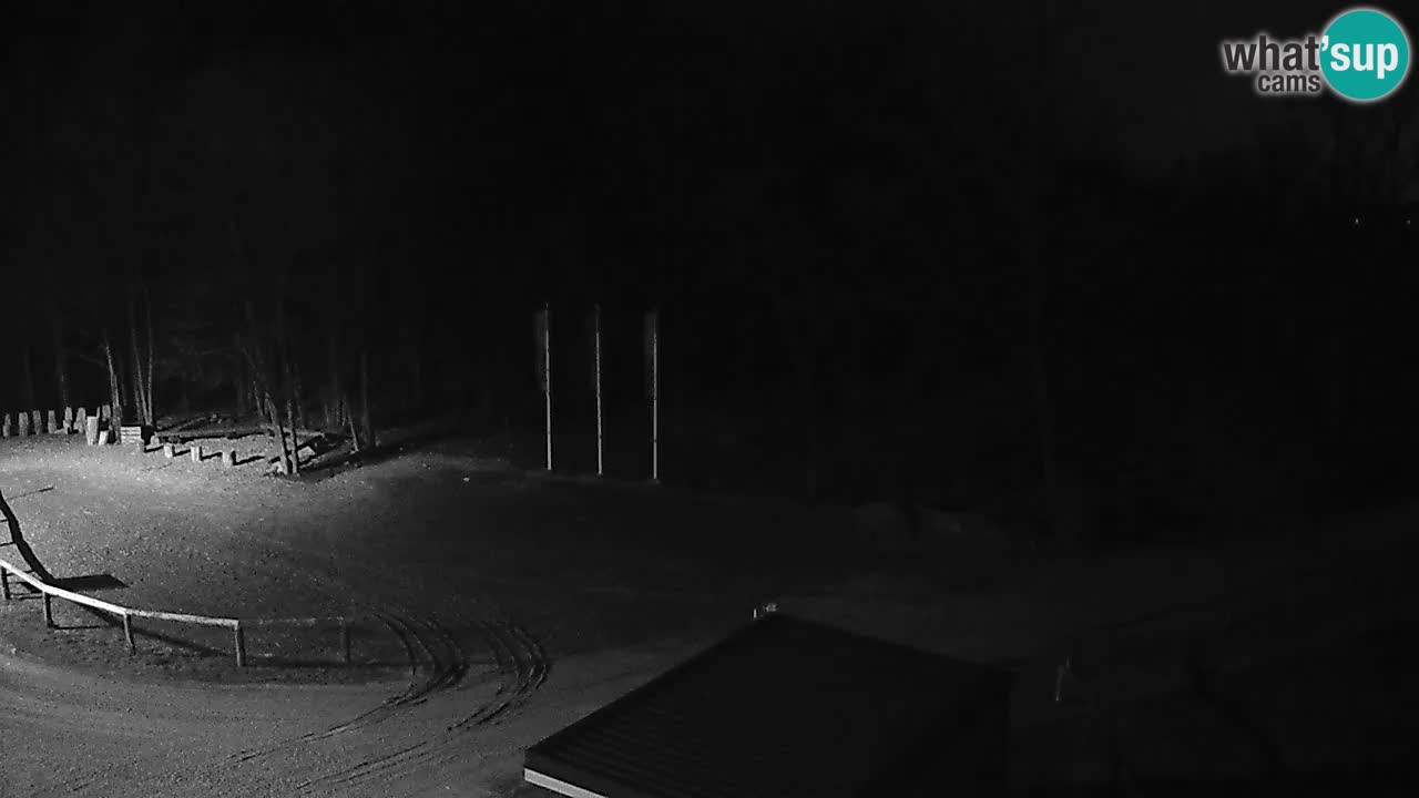 Live webcam Kočevje – MTB trail center – Slovenia