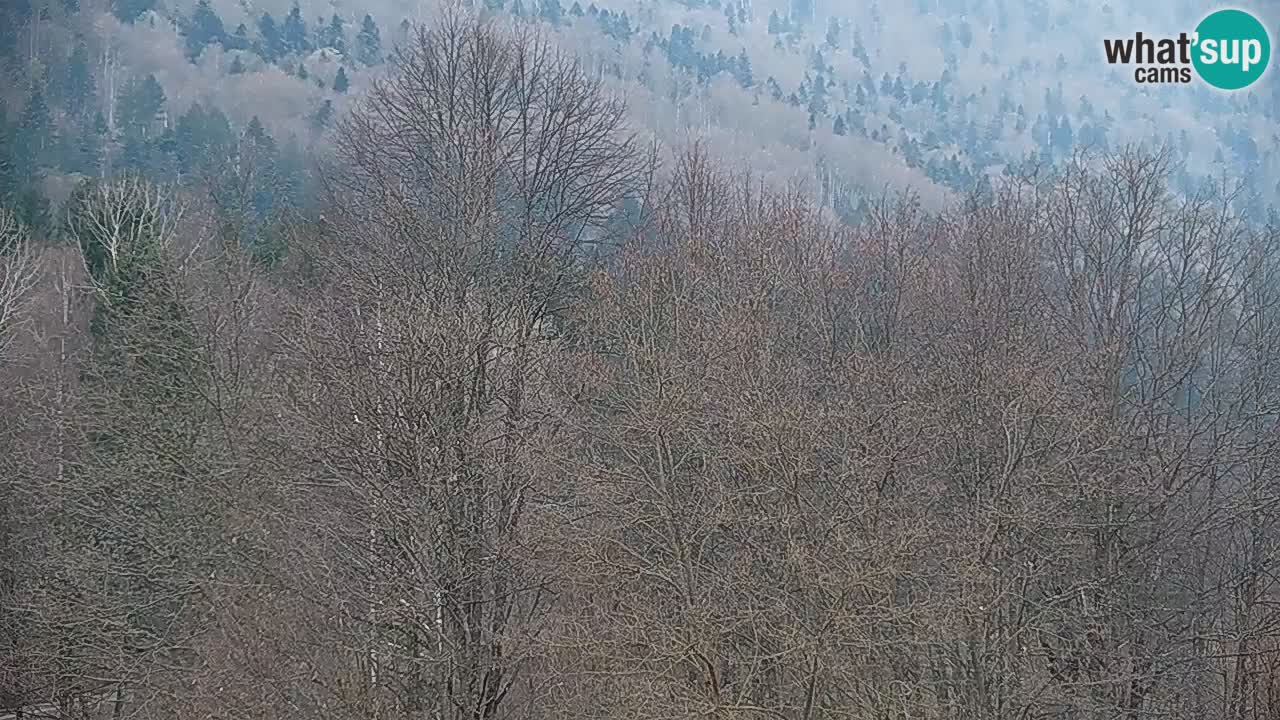 Web kamera Kočevje – MTB trail center – Slovenija