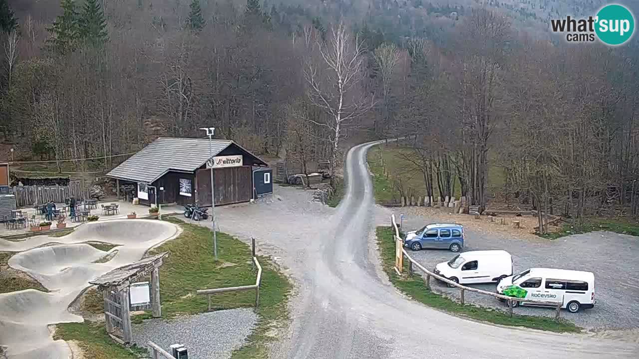 Camera en vivo Kočevje – MTB trail center – Eslovenia