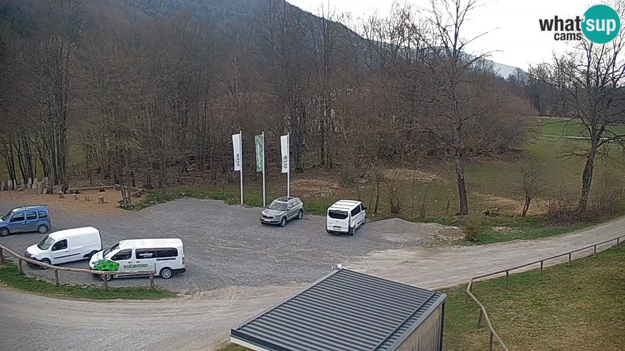 Spletna kamera Kočevje – MTB trail center v živo