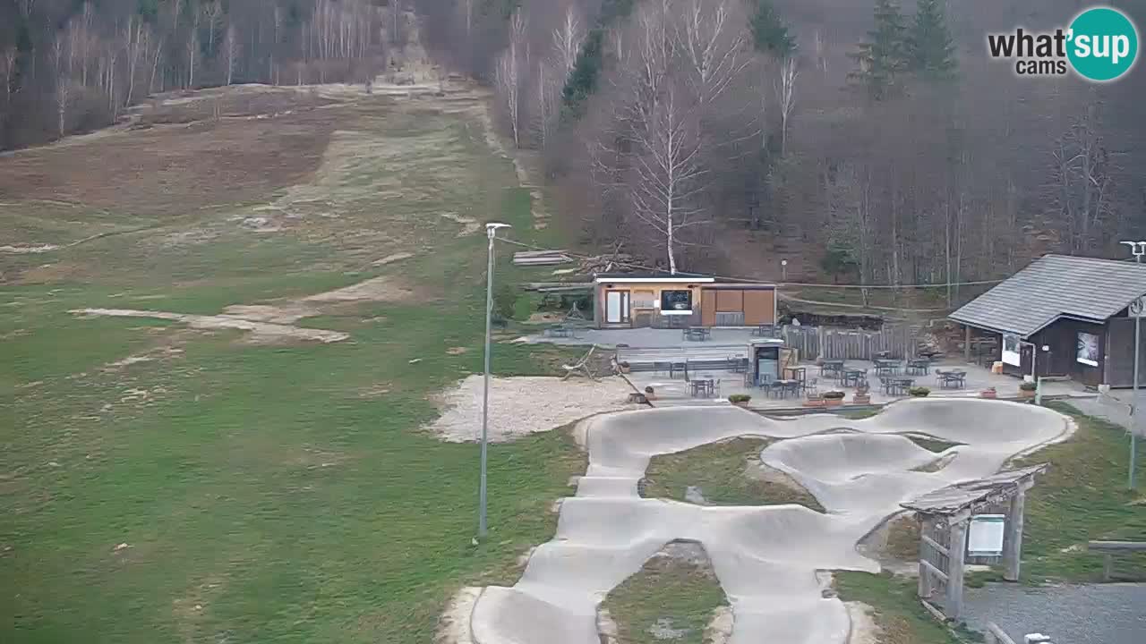 Spletna kamera Kočevje – MTB trail center v živo