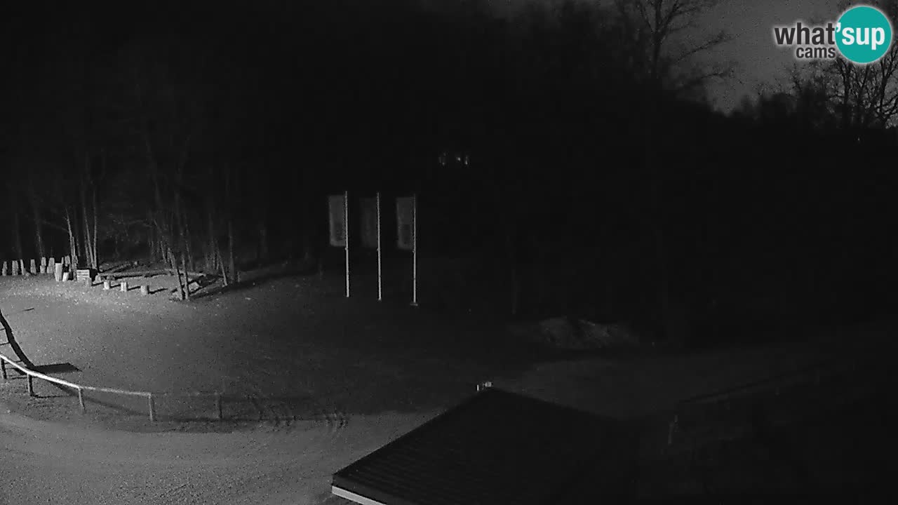 Webcam Kočevje – centro allenamento e svago MTB trail center – Slovenia