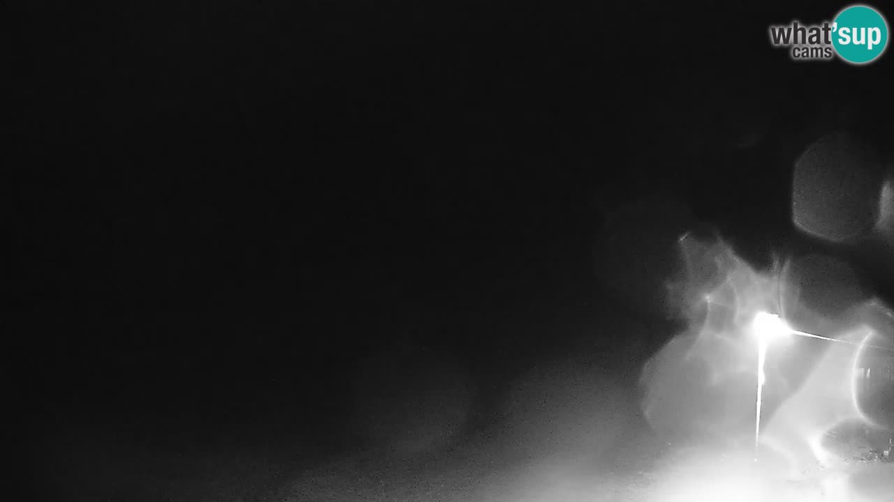 Kočevje Live webcam – MTB trail center – Slowenien