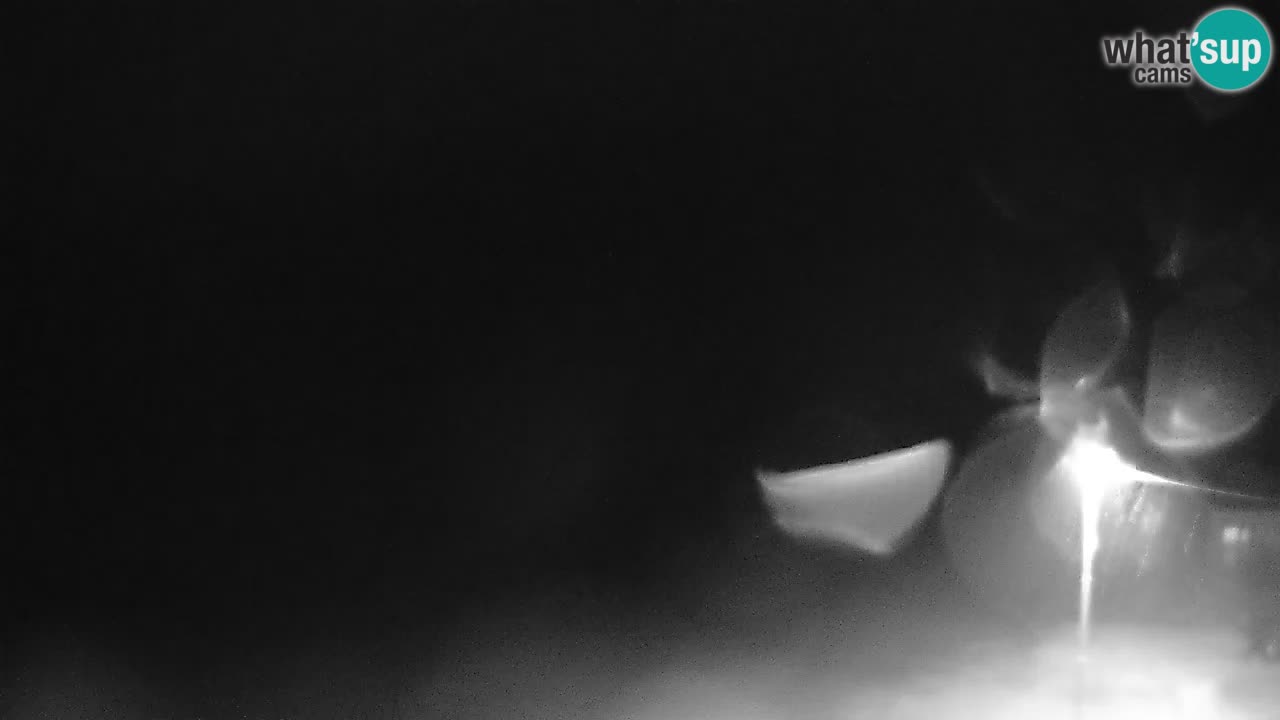 Kočevje Live webcam – MTB trail center – Slowenien