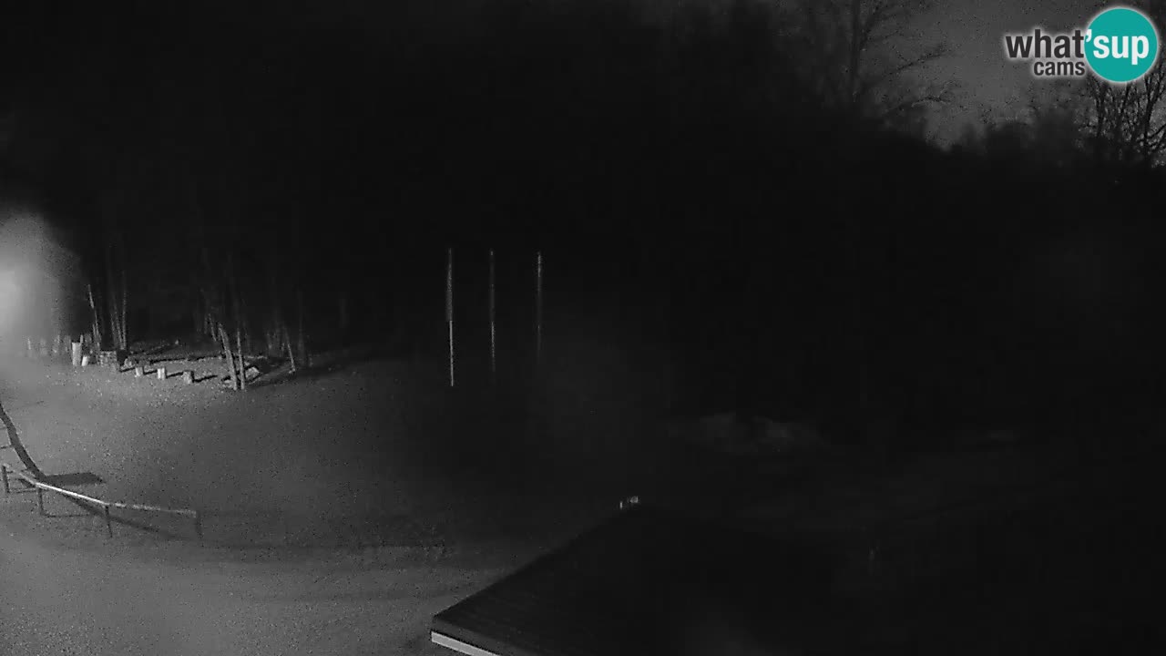 Webcam Kočevje – centro allenamento e svago MTB trail center – Slovenia