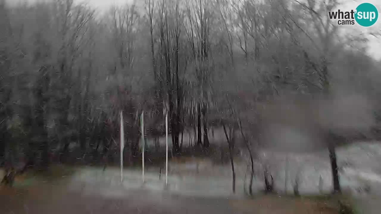 Kočevje Live webcam – MTB trail center – Slowenien