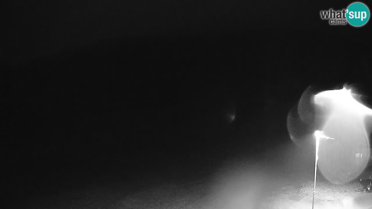 Kočevje Live webcam – MTB trail center – Slowenien