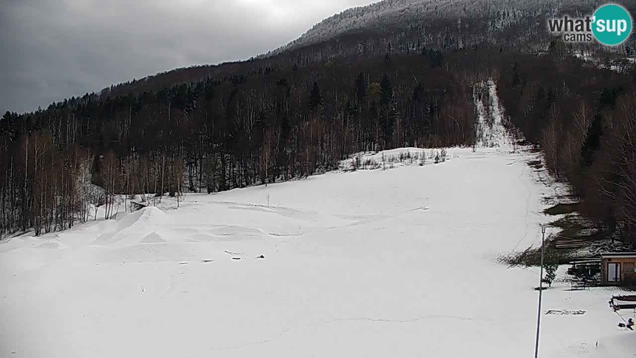 Live webcam Kočevje – MTB trail center – Slovenia