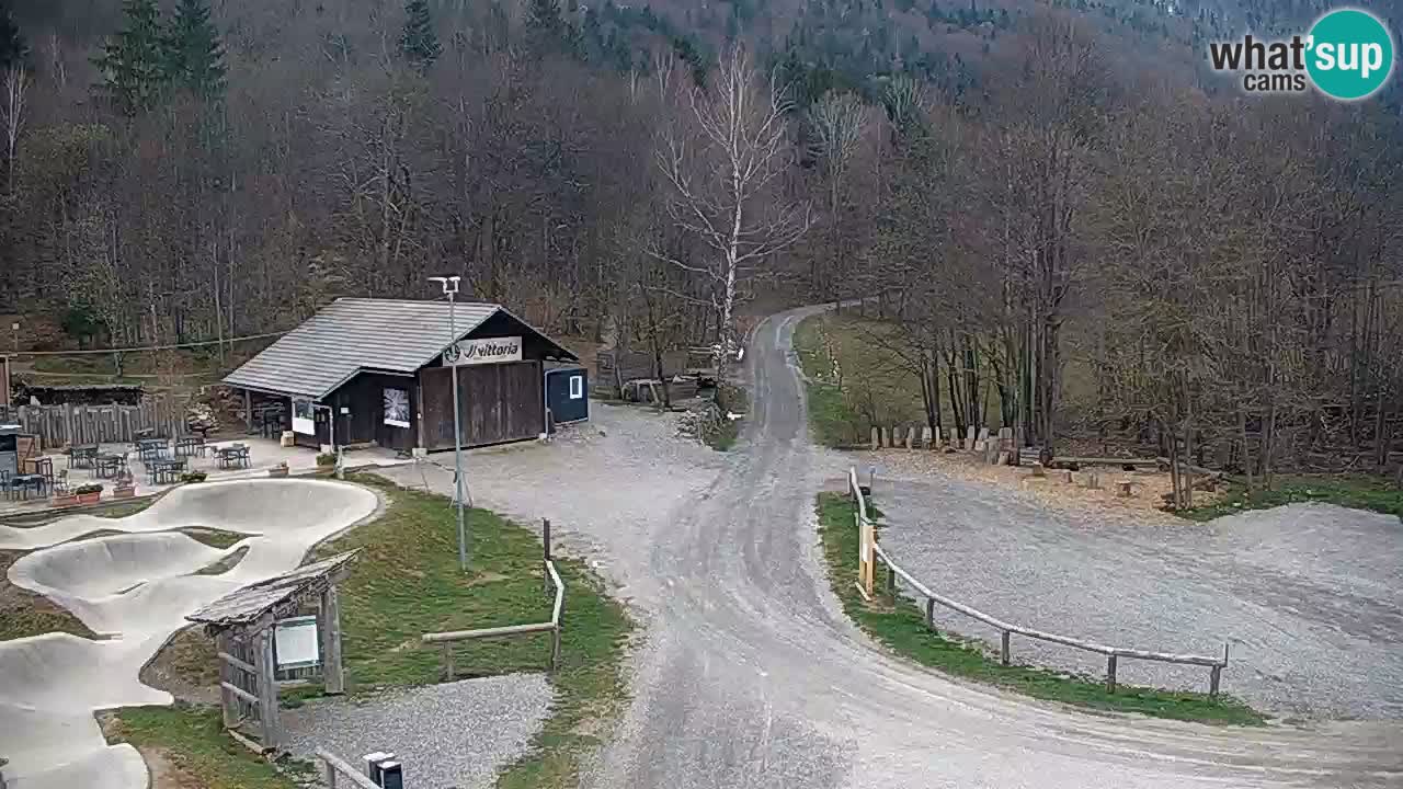 Spletna kamera Kočevje – MTB trail center v živo