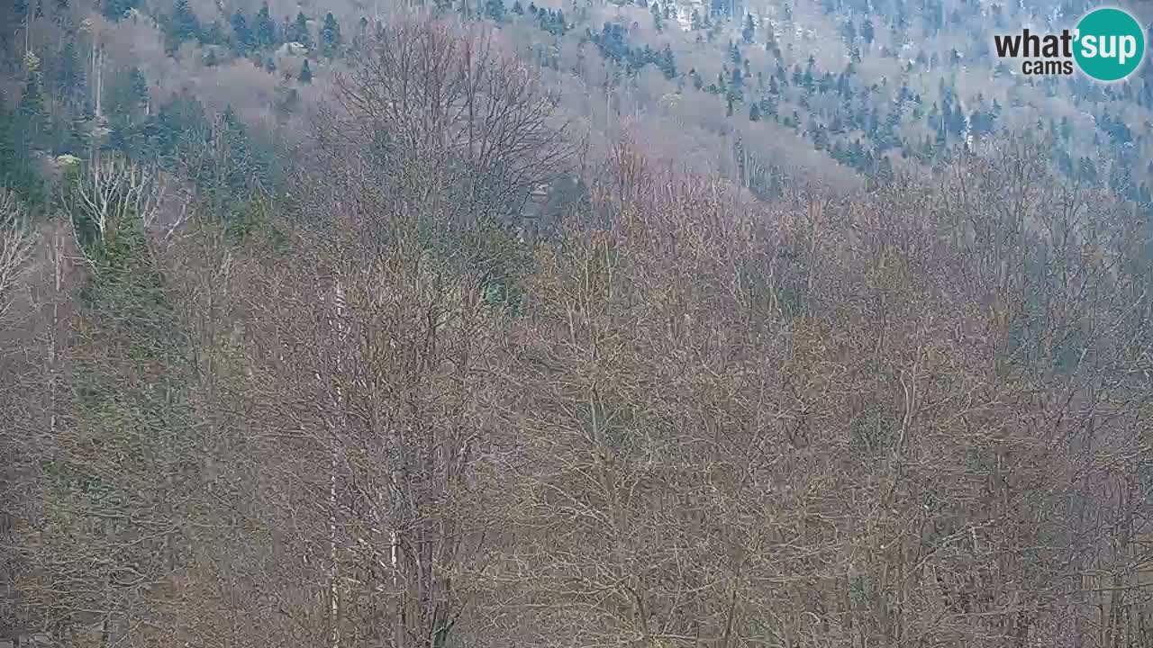 Webcam en direct Kočevje – Centre de trail VTT – Slovénie