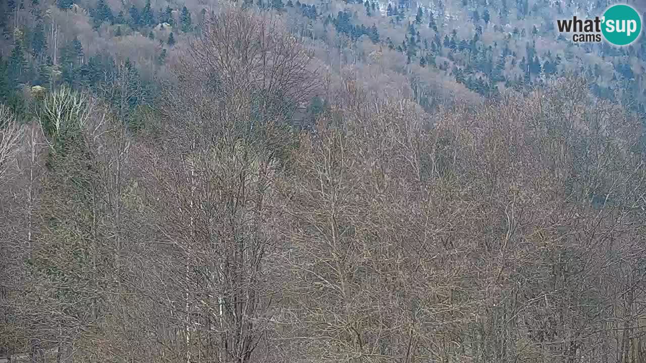 Webcam en direct Kočevje – Centre de trail VTT – Slovénie