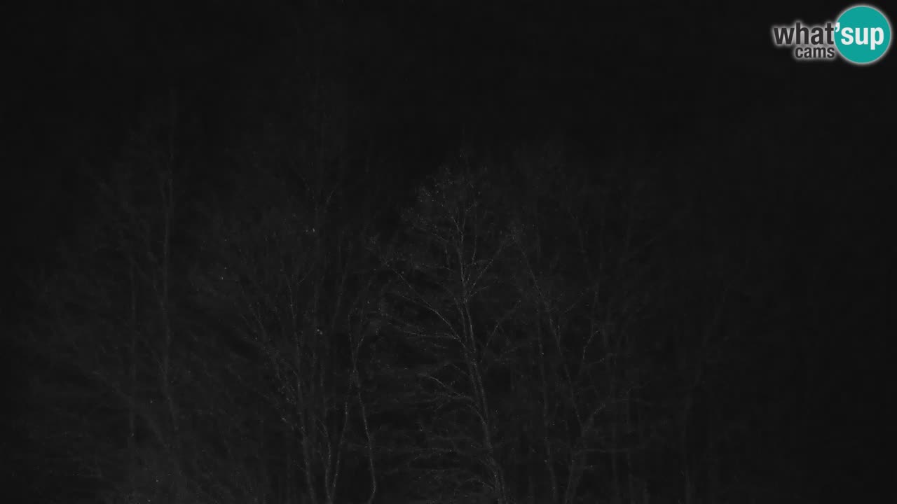 Webcam en direct Kočevje – Centre de trail VTT – Slovénie