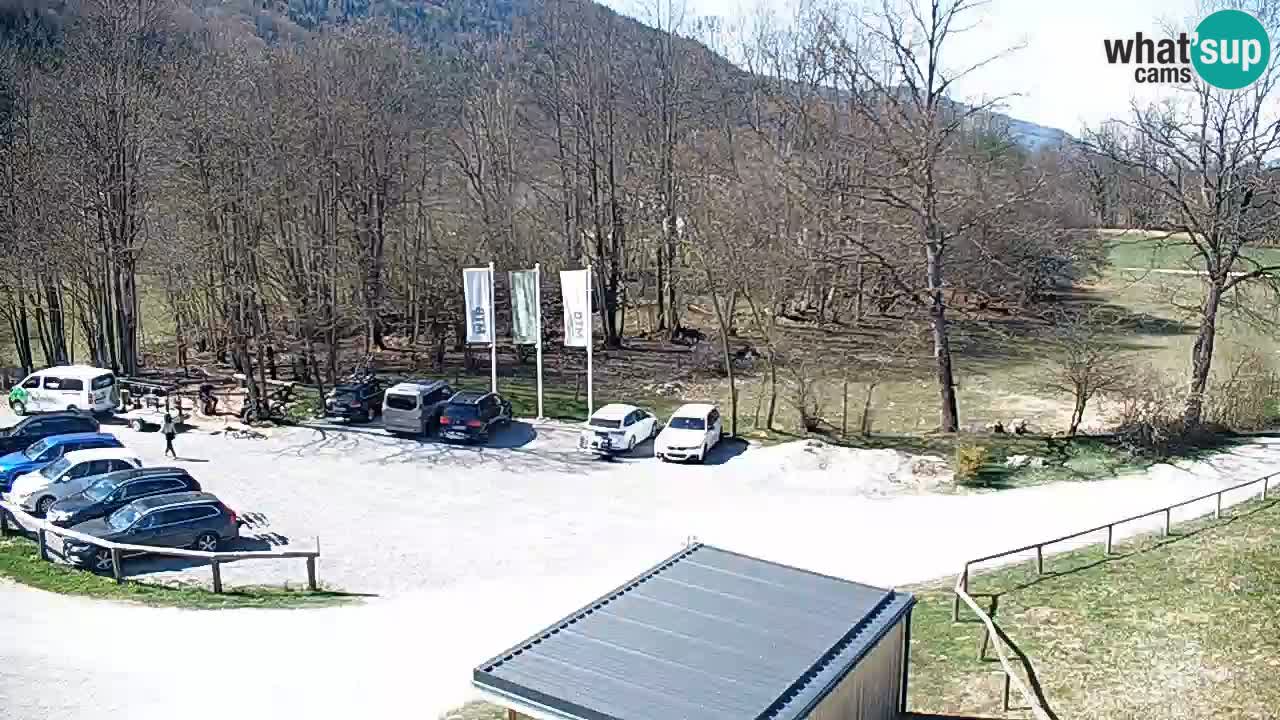 Kočevje Live webcam – MTB trail center – Slowenien
