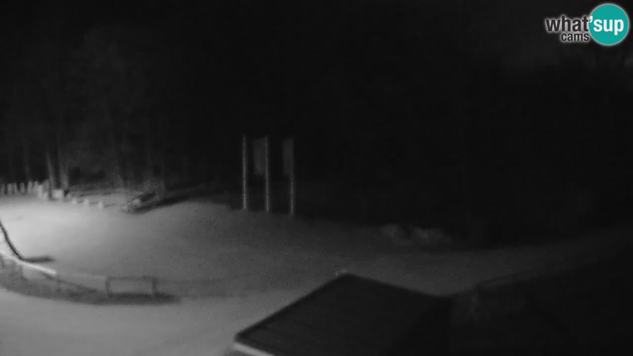 Spletna kamera Kočevje – MTB trail center v živo