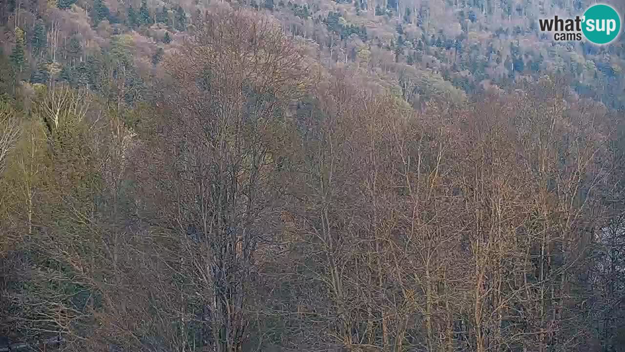 Webcam en direct Kočevje – Centre de trail VTT – Slovénie