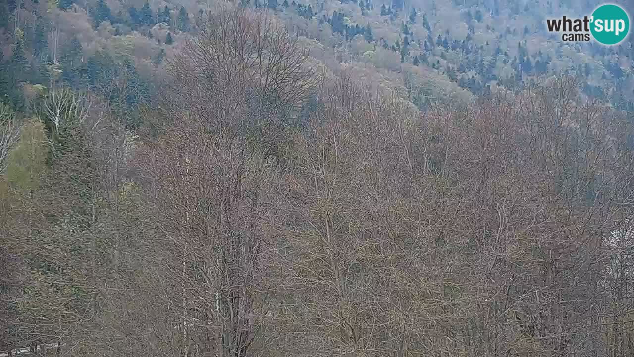 Web kamera Kočevje – MTB trail center – Slovenija