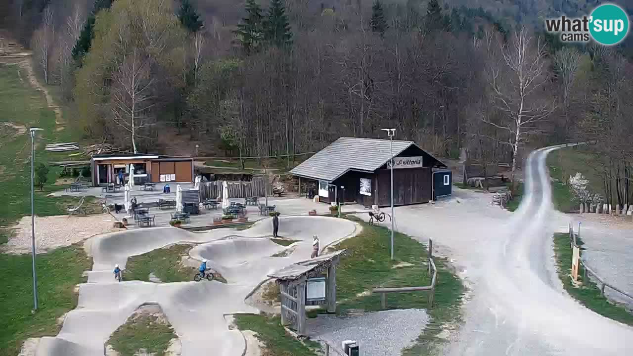 Spletna kamera Kočevje – MTB trail center v živo