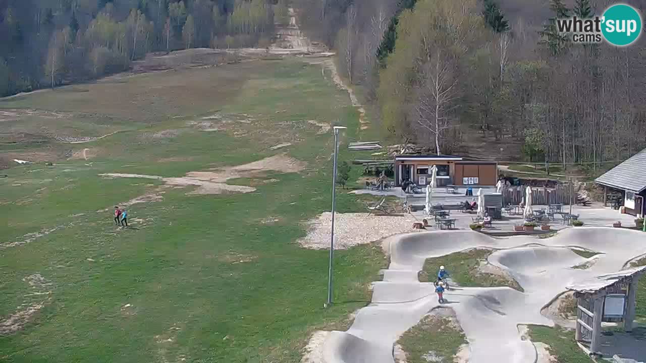 Spletna kamera Kočevje – MTB trail center v živo