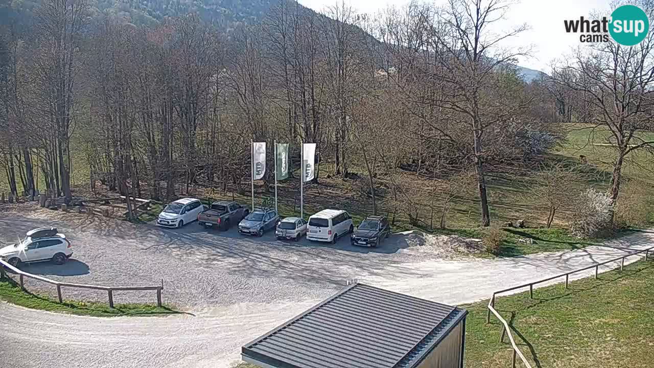 Webcam Kočevje – centro allenamento e svago MTB trail center – Slovenia