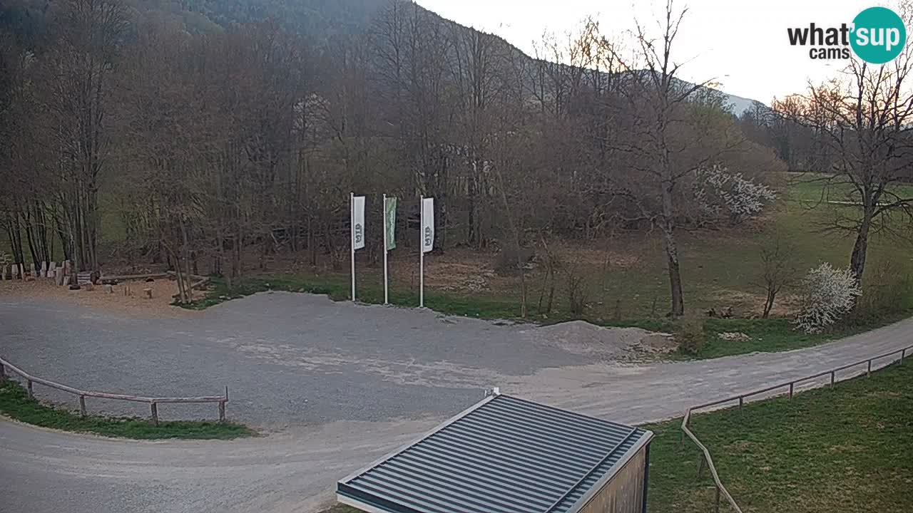 Camera en vivo Kočevje – MTB trail center – Eslovenia