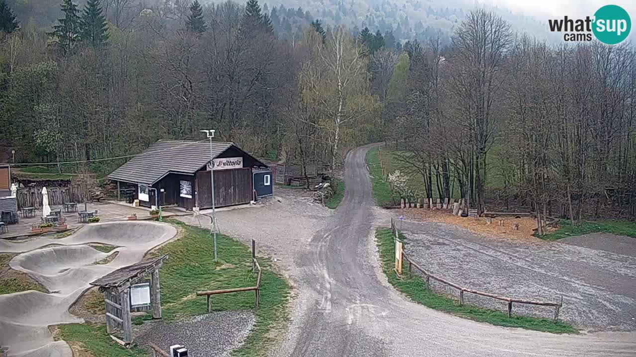 Spletna kamera Kočevje – MTB trail center v živo