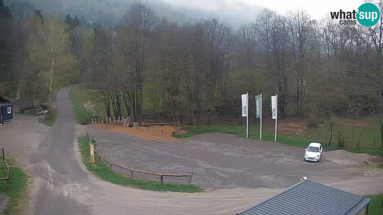 Webcam Kočevje – centro allenamento e svago MTB trail center – Slovenia