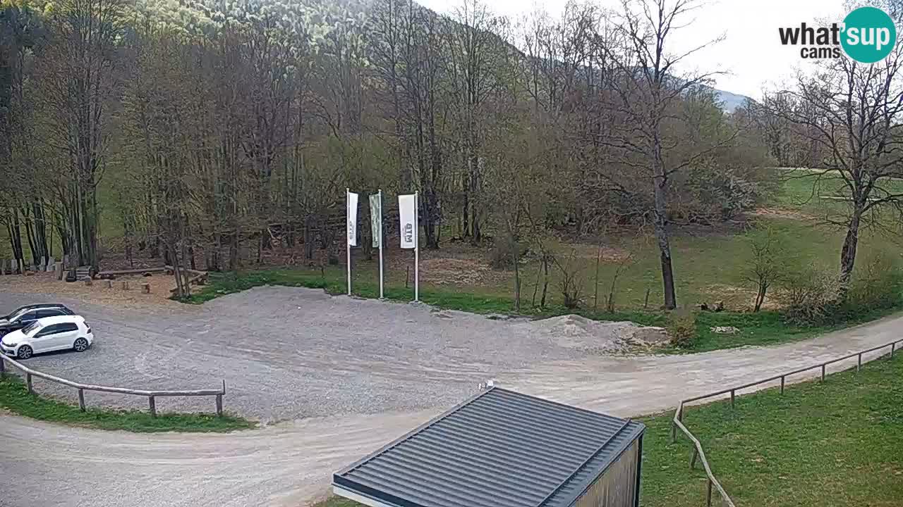 Kočevje Live webcam – MTB trail center – Slowenien