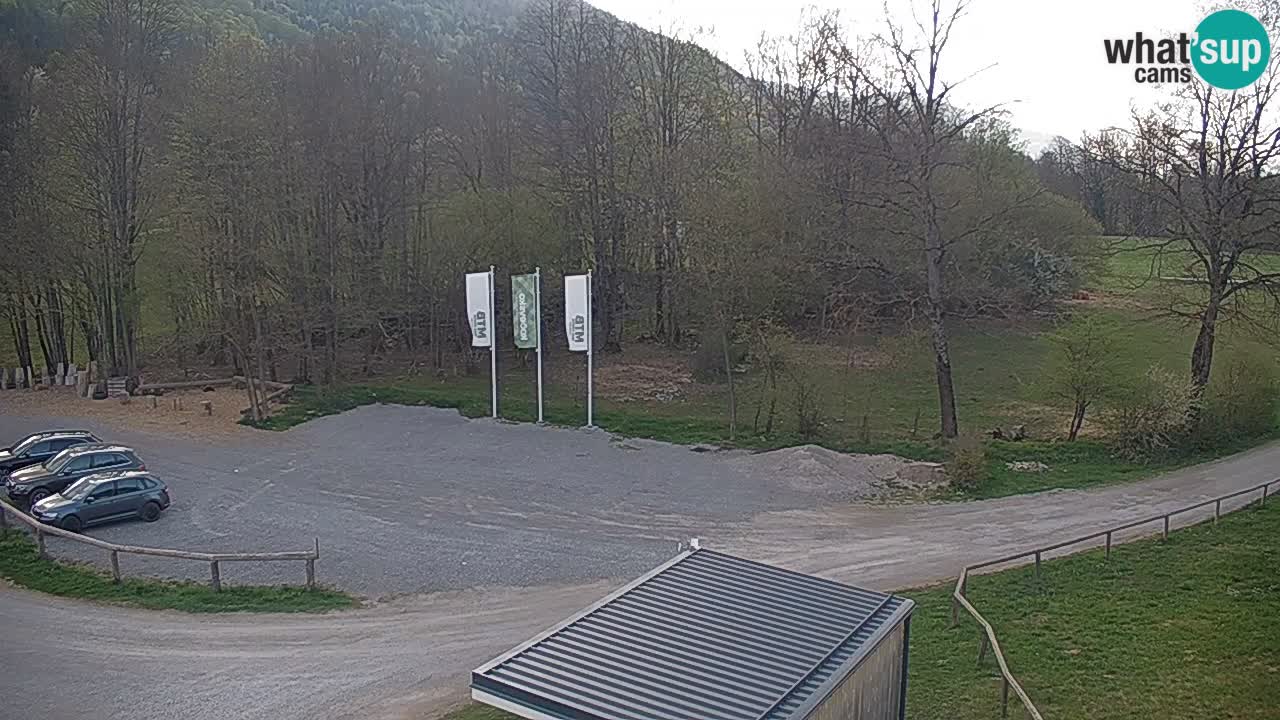 Kočevje Live webcam – MTB trail center – Slowenien