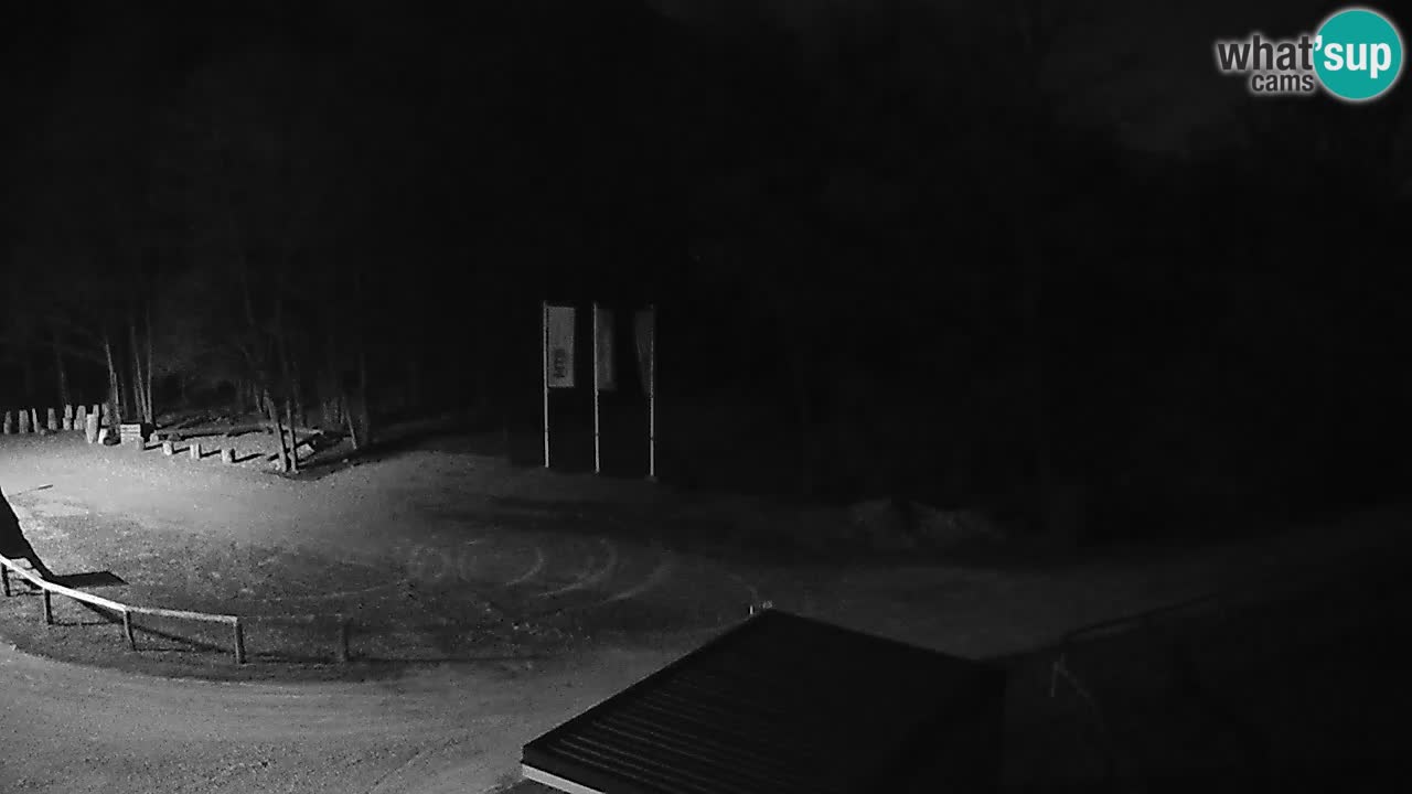 Live webcam Kočevje – MTB trail center – Slovenia