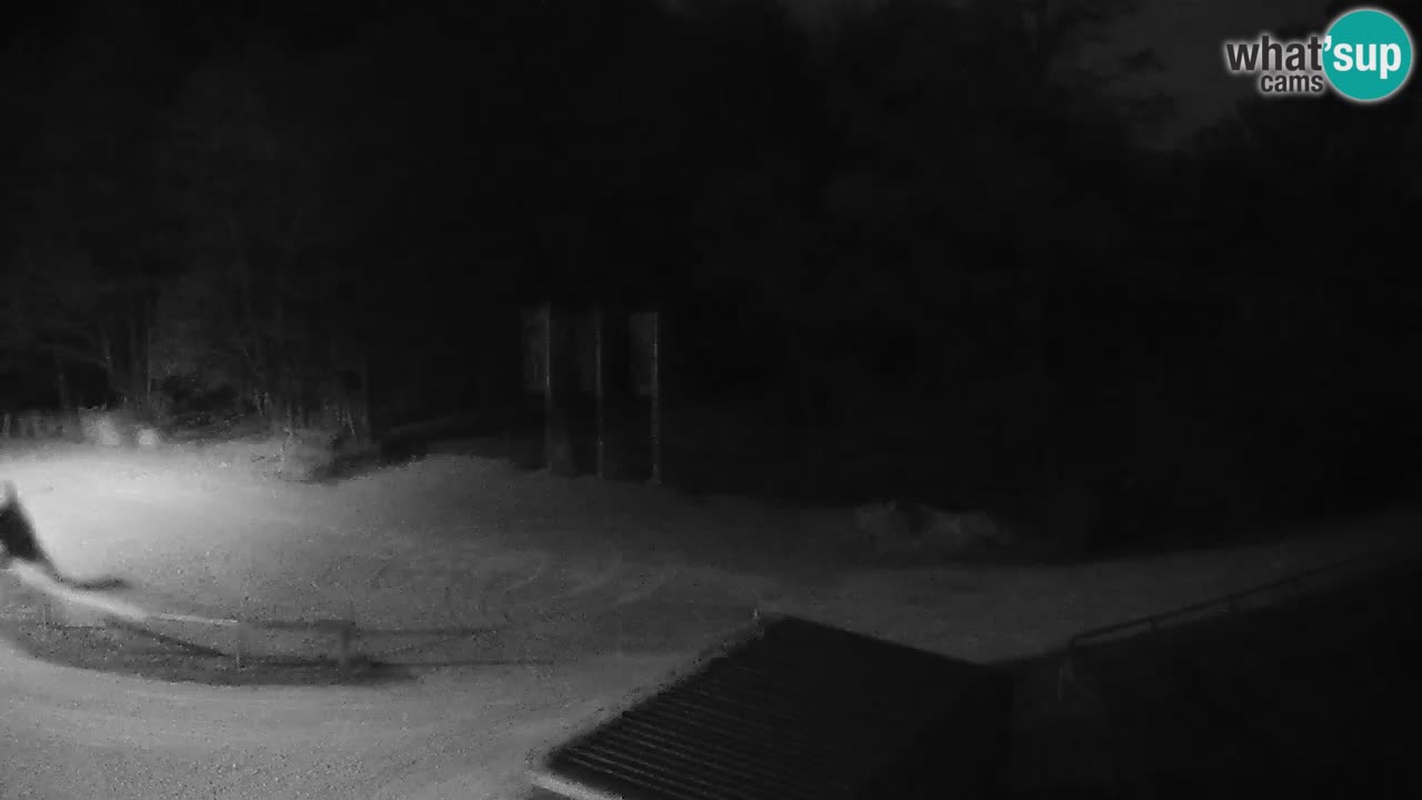 Kočevje Live webcam – MTB trail center – Slowenien