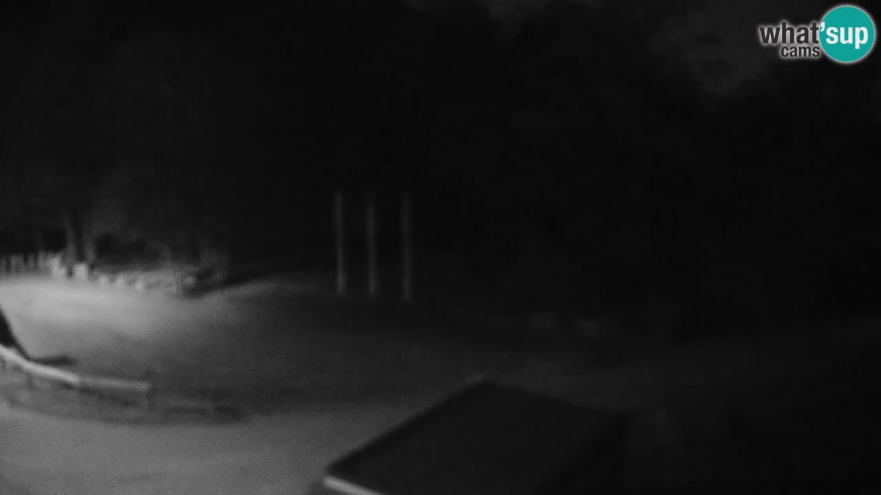 Kočevje Live webcam – MTB trail center – Slowenien