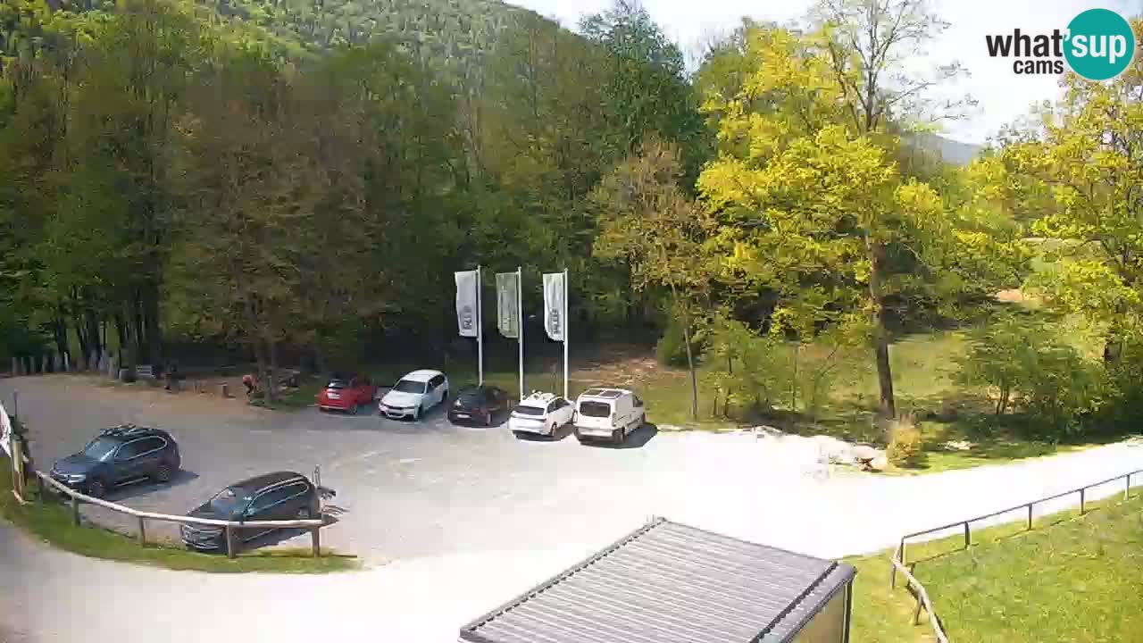 Web kamera Kočevje – MTB trail center – Slovenija