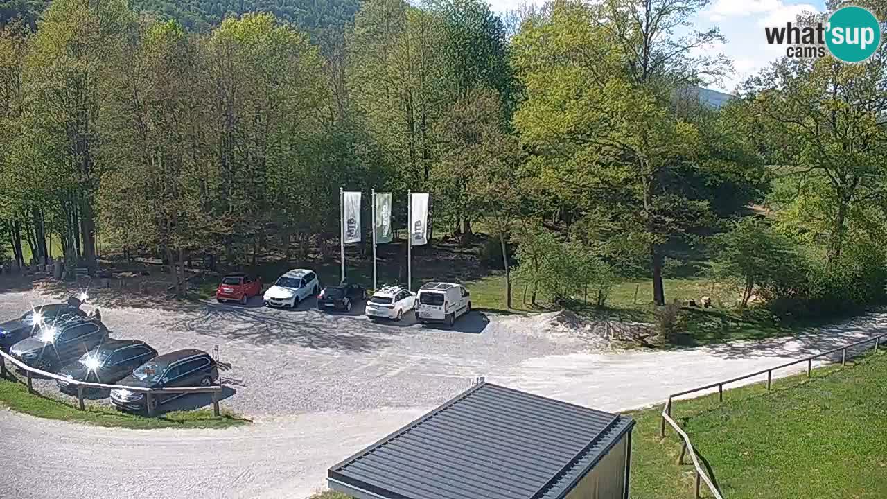 Web kamera Kočevje – MTB trail center – Slovenija