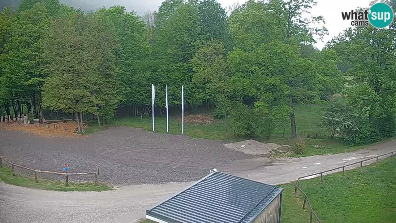 Webcam Kočevje – centro allenamento e svago MTB trail center – Slovenia