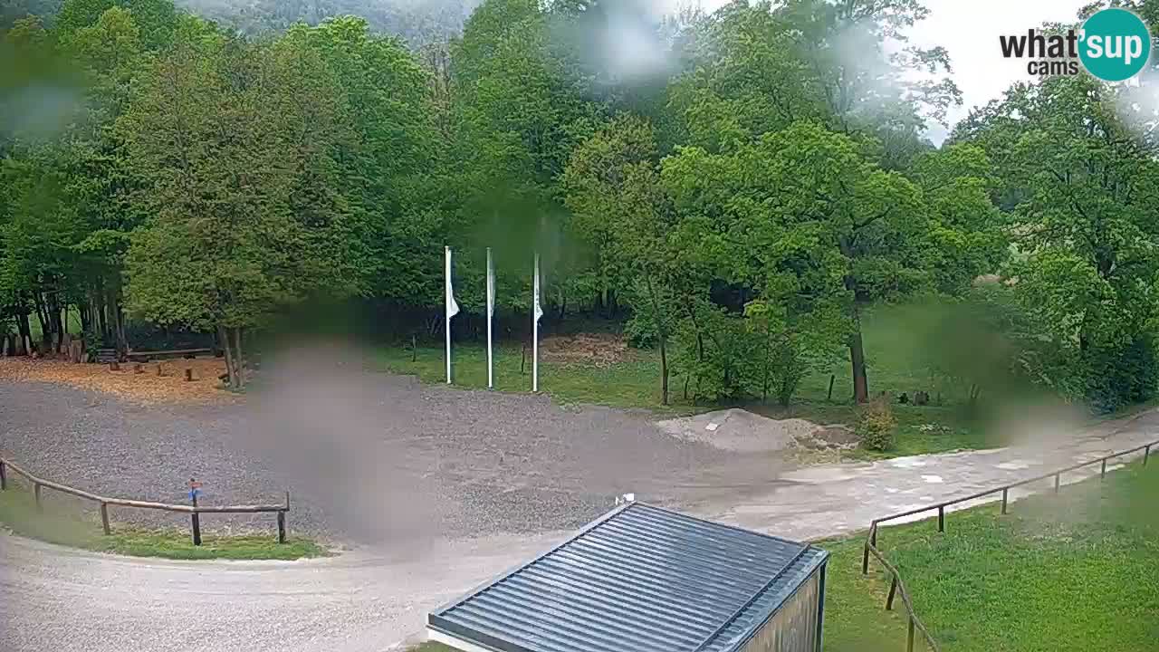 Kočevje Live webcam – MTB trail center – Slowenien