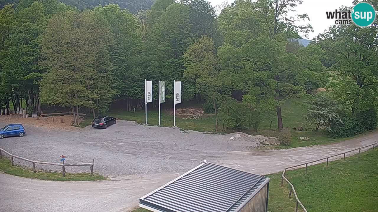 Camera en vivo Kočevje – MTB trail center – Eslovenia