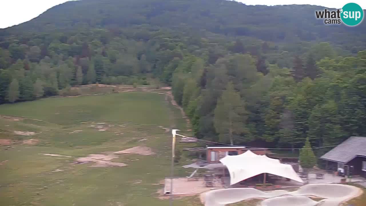 Kočevje Live webcam – MTB trail center – Slowenien