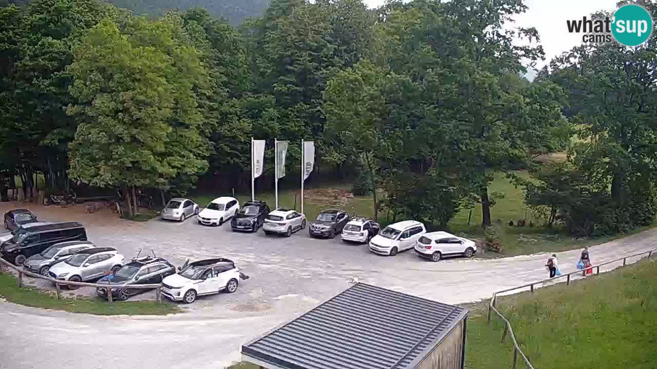 Live webcam Kočevje – MTB trail center – Slovenia