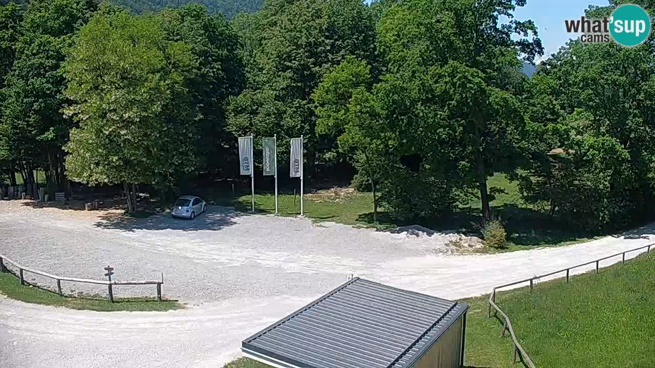 Webcam Kočevje – centro allenamento e svago MTB trail center – Slovenia