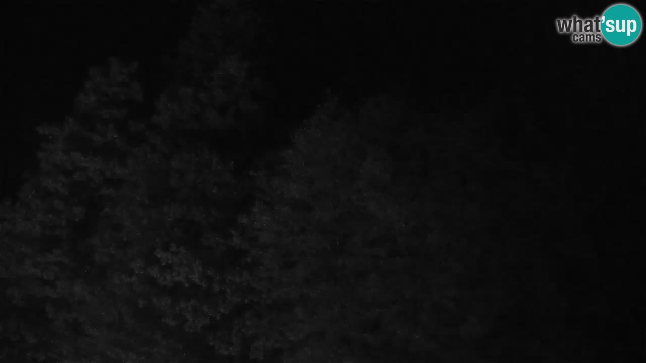 Kočevje Live webcam – MTB trail center – Slowenien