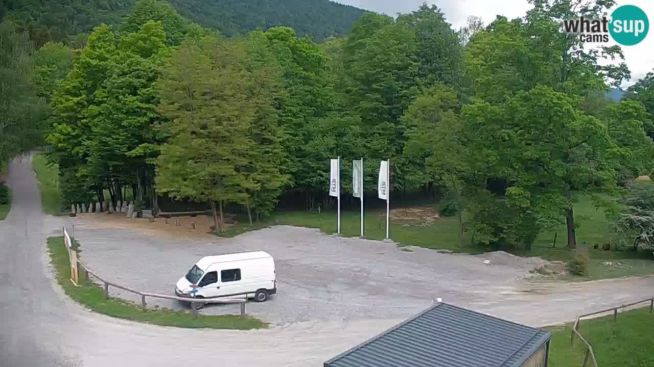 Camera en vivo Kočevje – MTB trail center – Eslovenia