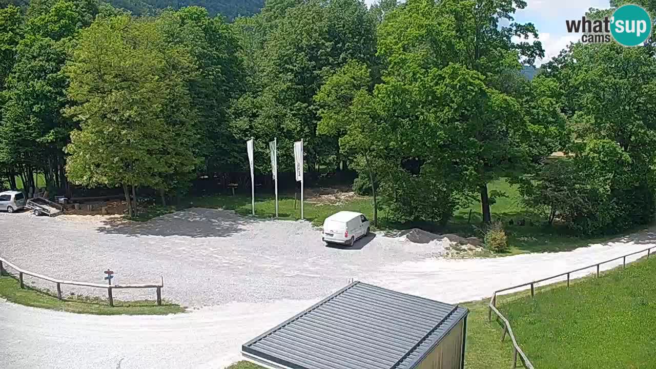 Camera en vivo Kočevje – MTB trail center – Eslovenia