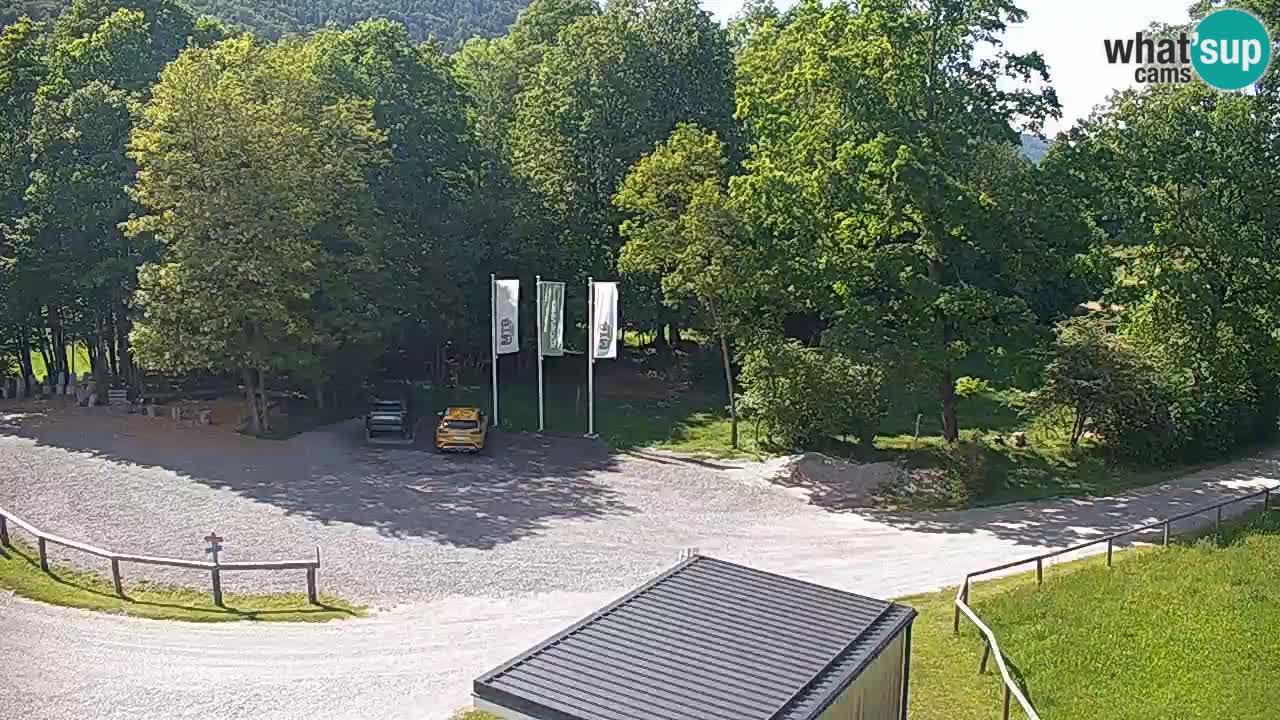 Spletna kamera Kočevje – MTB trail center v živo