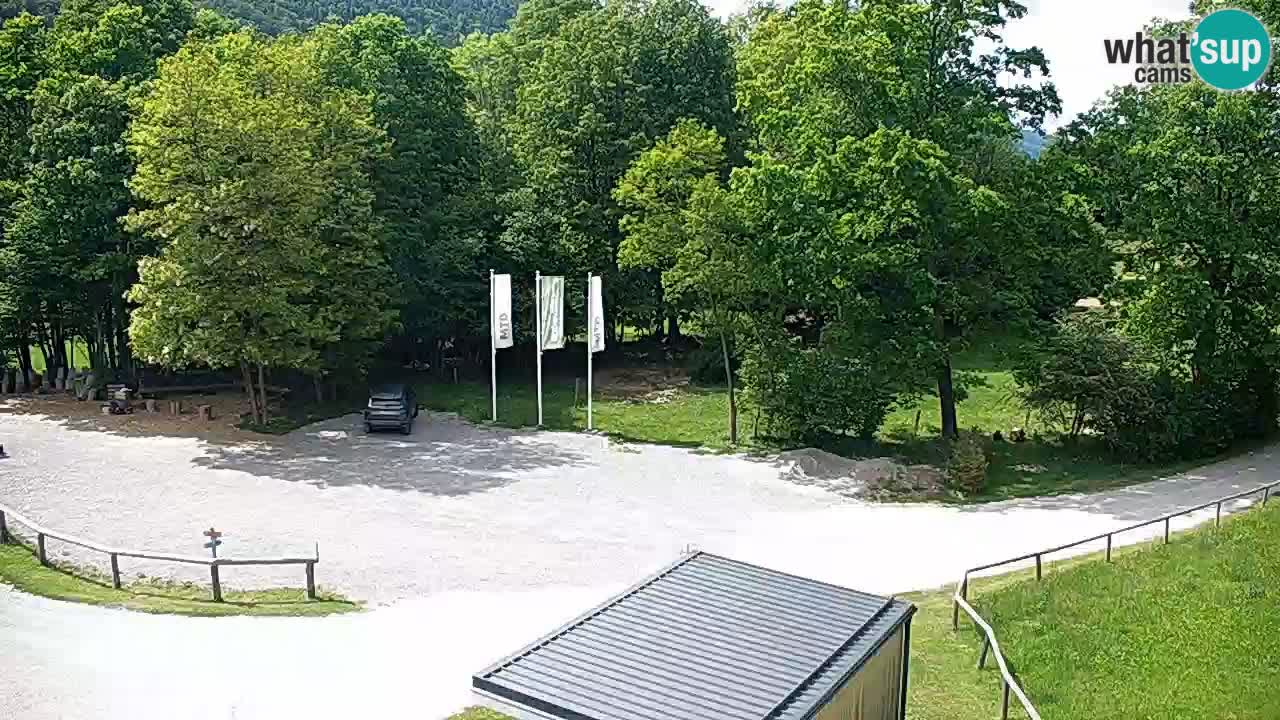 Web kamera Kočevje – MTB trail center – Slovenija