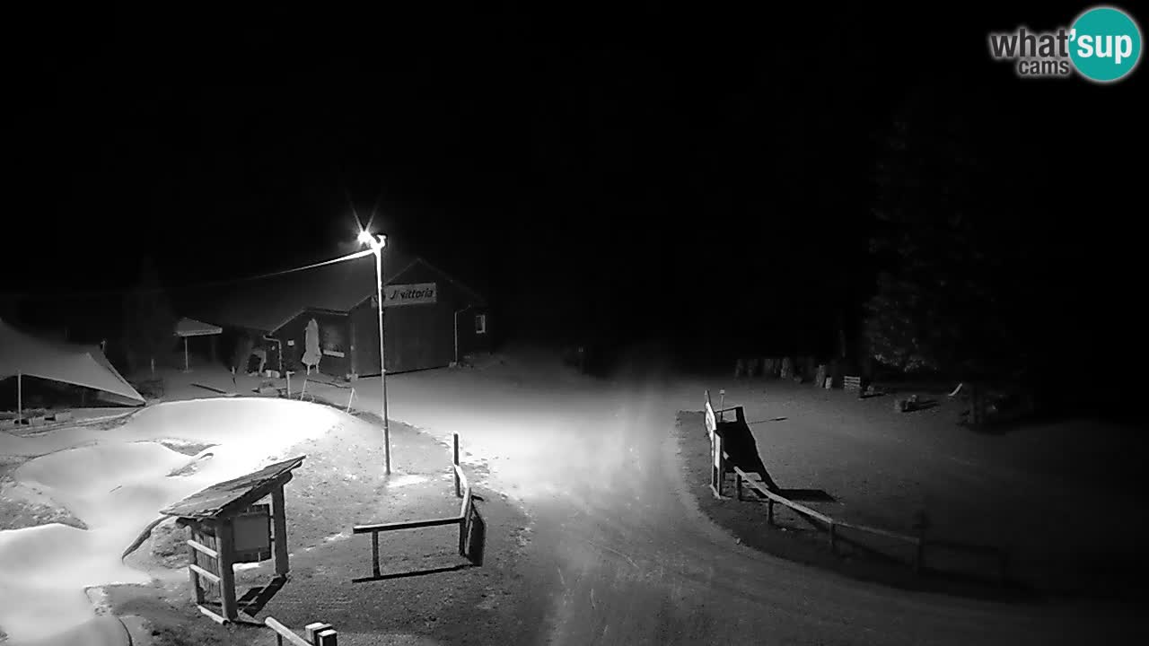 Kočevje Live webcam – MTB trail center – Slowenien