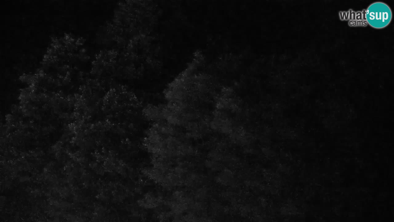 Webcam en direct Kočevje – Centre de trail VTT – Slovénie