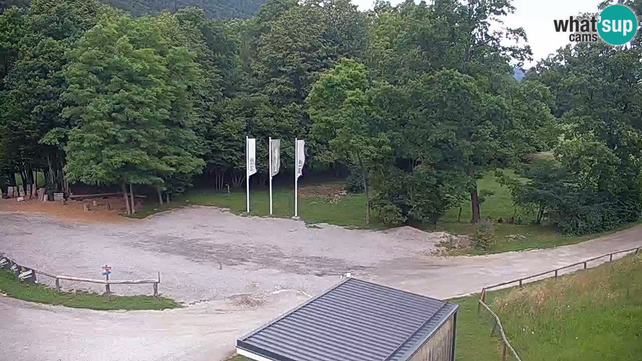 Spletna kamera Kočevje – MTB trail center v živo
